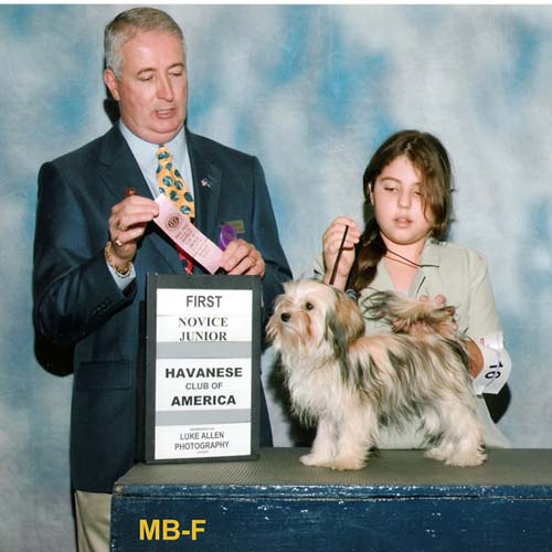 Gabrielle with Havanese Gina at the Havanese Club of America Junior Handler show